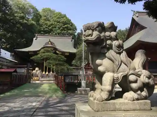 日吉神社の狛犬