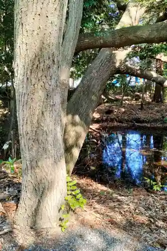 諏訪八幡神社の庭園