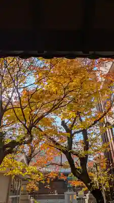 墨染寺(桜寺)(京都府)