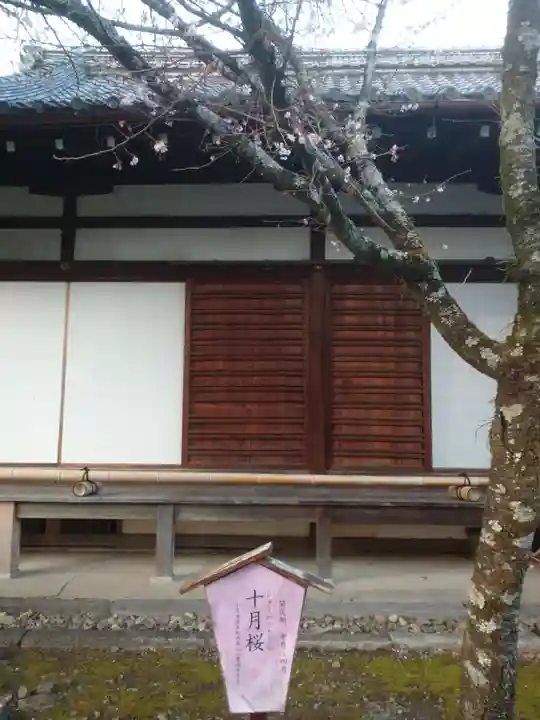 平野神社(京都府)