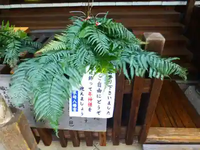 琴崎八幡宮(山口県)