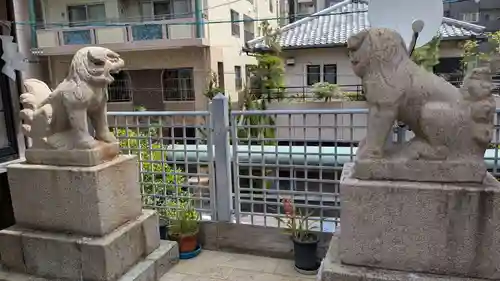 長崎大神宮の狛犬