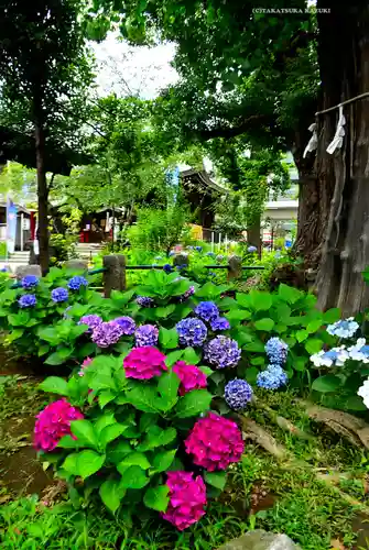 磐井神社(東京都)