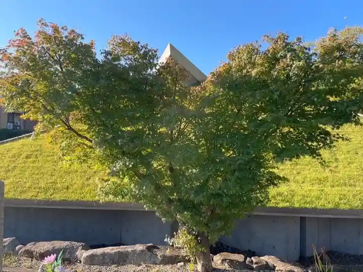 伊勢の国 四天王寺の自然