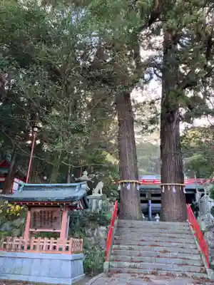 八幡朝見神社(大分県)