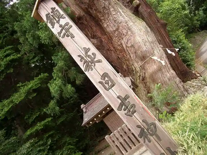 萩日吉神社(埼玉県)