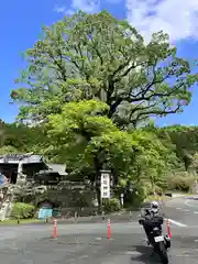 城野松尾神社(熊本県)