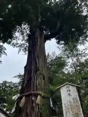 香取神宮(千葉県)