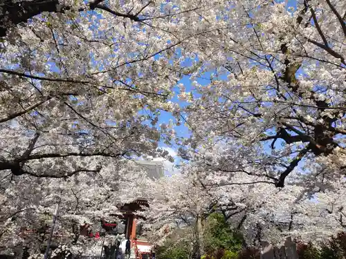 浄心寺(東京都)