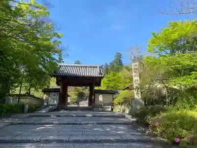 観心寺の{uncategorized: "未分類", other: "その他", undefined: "問題あり", building: "その他建物", grave: "お墓", sacred_gate: "鳥居", guardian: "狛犬", statue: "像", buddha: "仏像", history: "歴史", nature: "自然", garden: "庭園", animal: "動物", pagoda: "塔", temizu: "手水舎", mountain_gate: "山門・神門", sanctuary: "本殿・本堂", subordinate: "末社・摂社", art: "芸術", scenery: "景色", jizo: "地蔵", ema: "絵馬", goshuin: "御朱印", omikuji: "おみくじ", items: "授与品その他", amulet: "お守り", goshuincho: "御朱印帳", eats: "食事", festival: "お祭り", votive_dance: "神楽", shichigosan: "七五三参", wedding: "結婚式", experience: "体験その他", initially: "初詣", around: "周辺", anti_infection: "感染症対策"}