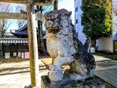 熊野社(犬山熊野神社)の狛犬