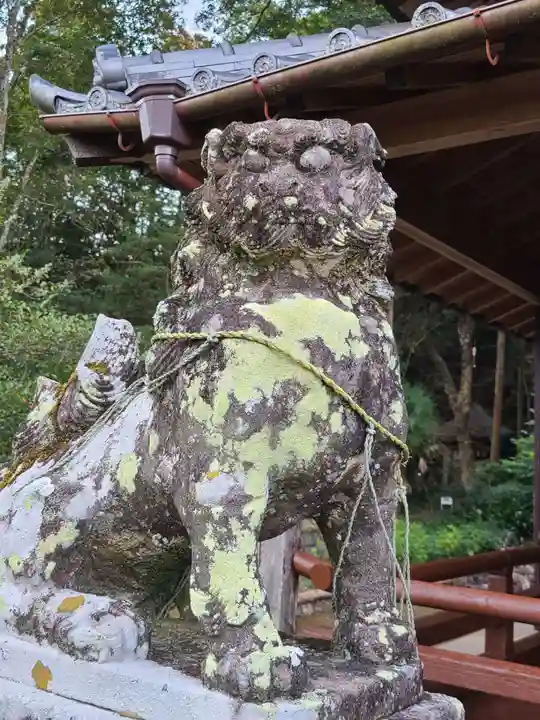 波佐美神社の狛犬