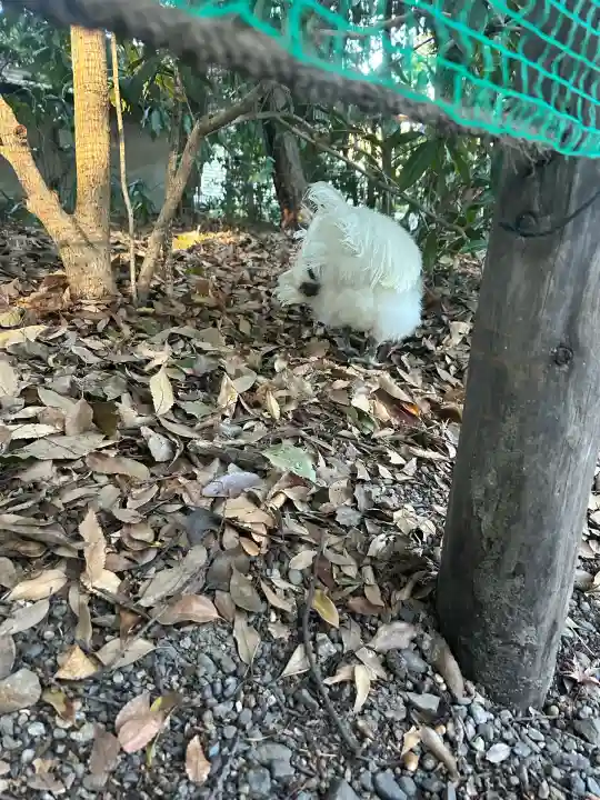熱田神宮(愛知県)