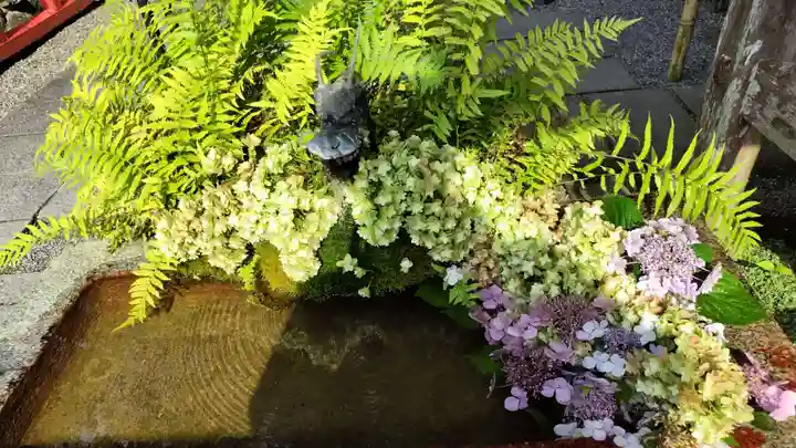 出雲大神宮の手水舎