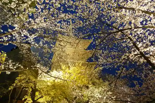 東寺（教王護国寺）の建物その他