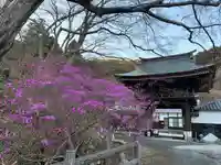 普門寺(切り絵御朱印発祥の寺)のその他建物