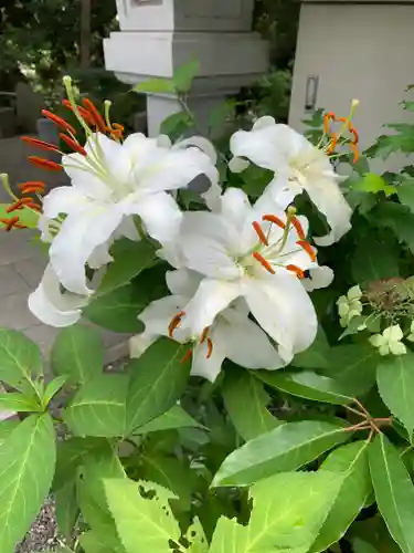 多摩川浅間神社の自然