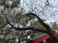 美奈宜神社(福岡県)