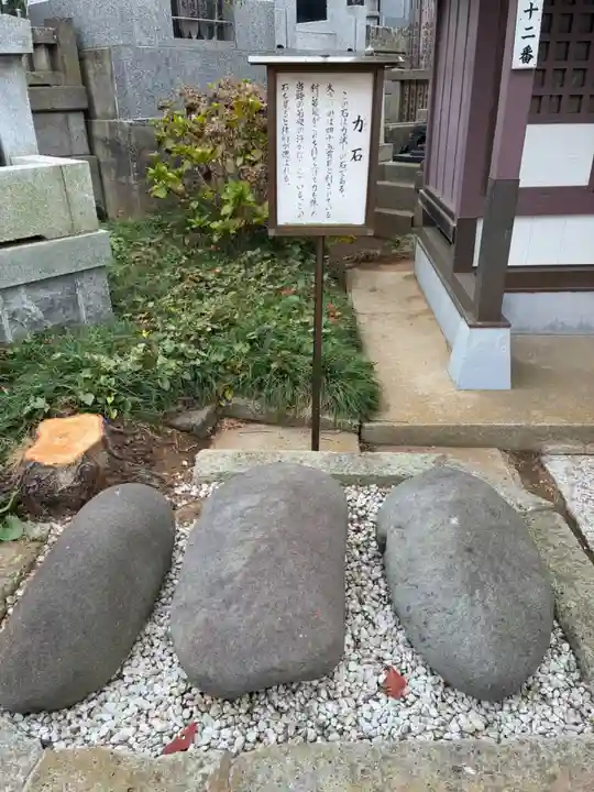 能満寺(千葉県)