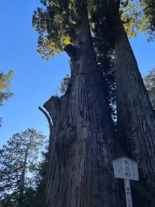榛名神社(群馬県)