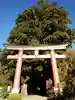 河口浅間神社の鳥居