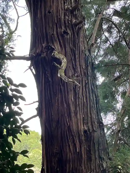 高岡神社の{uncategorized: "未分類", other: "その他", undefined: "問題あり", building: "その他建物", grave: "お墓", sacred_gate: "鳥居", guardian: "狛犬", statue: "像", buddha: "仏像", history: "歴史", nature: "自然", garden: "庭園", animal: "動物", pagoda: "塔", temizu: "手水舎", mountain_gate: "山門・神門", sanctuary: "本殿・本堂", subordinate: "末社・摂社", art: "芸術", scenery: "景色", jizo: "地蔵", ema: "絵馬", goshuin: "御朱印", omikuji: "おみくじ", items: "授与品その他", amulet: "お守り", goshuincho: "御朱印帳", eats: "食事", festival: "お祭り", votive_dance: "神楽", shichigosan: "七五三参", wedding: "結婚式", experience: "体験その他", initially: "初詣", around: "周辺", anti_infection: "感染症対策"}