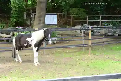 平塚八幡宮(神奈川県)