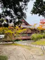 毛越寺(岩手県)