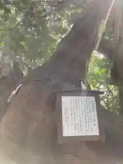 住吉神社(山口県)