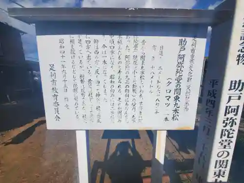 助戸阿弥陀堂(栃木県)