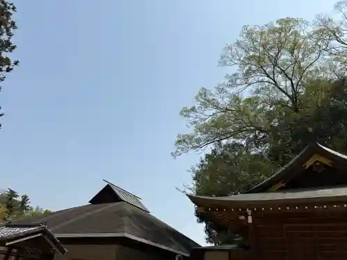 常陸國總社宮の{uncategorized: "未分類", other: "その他", undefined: "問題あり", building: "その他建物", grave: "お墓", sacred_gate: "鳥居", guardian: "狛犬", statue: "像", buddha: "仏像", history: "歴史", nature: "自然", garden: "庭園", animal: "動物", pagoda: "塔", temizu: "手水舎", mountain_gate: "山門・神門", sanctuary: "本殿・本堂", subordinate: "末社・摂社", art: "芸術", scenery: "景色", jizo: "地蔵", ema: "絵馬", goshuin: "御朱印", omikuji: "おみくじ", items: "授与品その他", amulet: "お守り", goshuincho: "御朱印帳", eats: "食事", festival: "お祭り", votive_dance: "神楽", shichigosan: "七五三参", wedding: "結婚式", experience: "体験その他", initially: "初詣", around: "周辺", anti_infection: "感染症対策"}