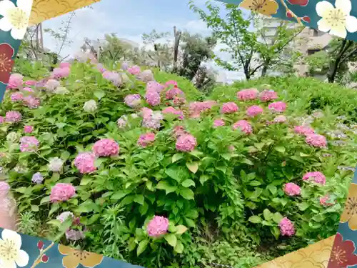 真田山 三光神社の自然