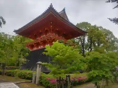 仁和寺(京都府)