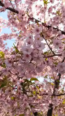 後白河院御聖蹟　法住寺(京都府)