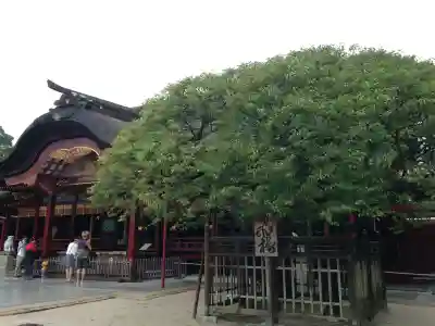 太宰府天満宮(福岡県)