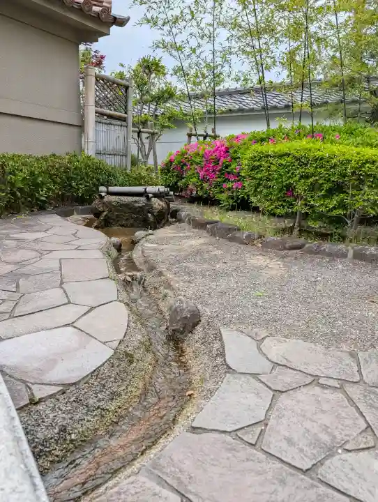 高津宮の{uncategorized: "未分類", other: "その他", undefined: "問題あり", building: "その他建物", grave: "お墓", sacred_gate: "鳥居", guardian: "狛犬", statue: "像", buddha: "仏像", history: "歴史", nature: "自然", garden: "庭園", animal: "動物", pagoda: "塔", temizu: "手水舎", mountain_gate: "山門・神門", sanctuary: "本殿・本堂", subordinate: "末社・摂社", art: "芸術", scenery: "景色", jizo: "地蔵", ema: "絵馬", goshuin: "御朱印", omikuji: "おみくじ", items: "授与品その他", amulet: "お守り", goshuincho: "御朱印帳", eats: "食事", festival: "お祭り", votive_dance: "神楽", shichigosan: "七五三参", wedding: "結婚式", experience: "体験その他", initially: "初詣", around: "周辺", anti_infection: "感染症対策"}