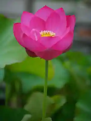極楽山　浄土寺(北海道)
