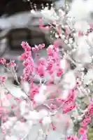 石山寺の御朱印