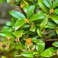 伊勢の国 四天王寺(三重県)