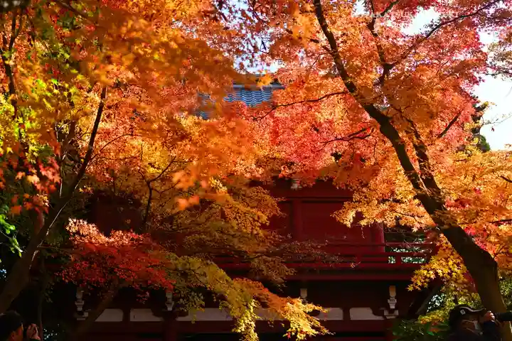 本土寺(千葉県)