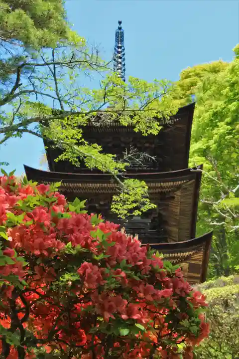 国宝 大法寺(長野県)