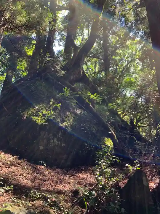 大矢谷白山神社の周辺