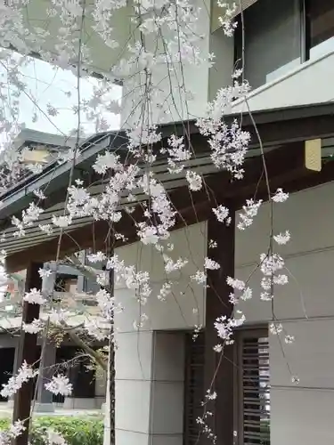 宝勝山　南藏院   蓮光寺の庭園