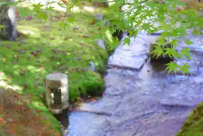 禅林寺(永観堂)(京都府)