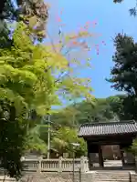 備前国総社宮(岡山県)