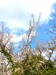 普門寺の自然