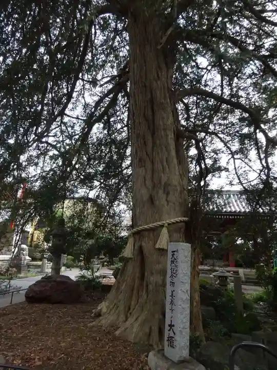 善養寺(善養密寺)の自然