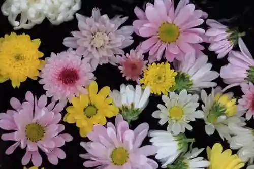 大鏑神社の手水舎