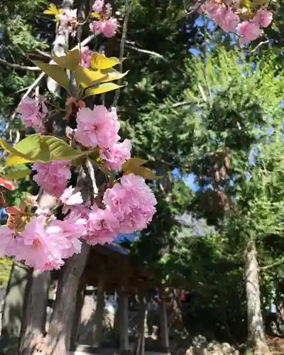 高司神社〜むすびの神の鎮まる社〜(福島県)
