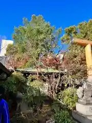 堀越神社の自然